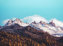 NS vs T1次局集锦：T1次局状态低迷，NS大胜扳平比分